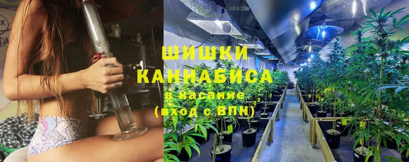 Шишки марихуана White Widow  МЕГА как зайти  Фролово 